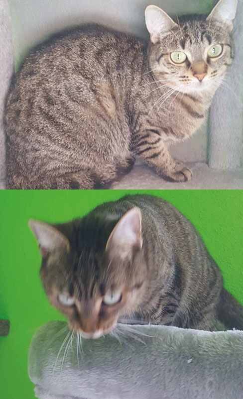 kitty-und-luna kitty-und-luna